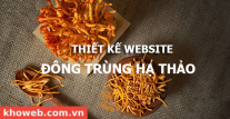 Thiết kế website Bán Đông trùng hạ thảo Thiết kế website Bán Đông trùng hạ thảo