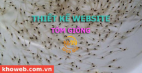 Thiết kế Website Tôm giống, Bán tôm giống, các sản phẩm nuôi tôm giống Thiết kế Website Tôm giống, Bán tôm giống, các sản phẩm nuôi tôm giống
