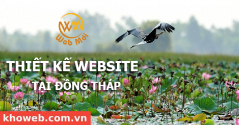 Thiết kế Website tại tỉnh Đồng Tháp